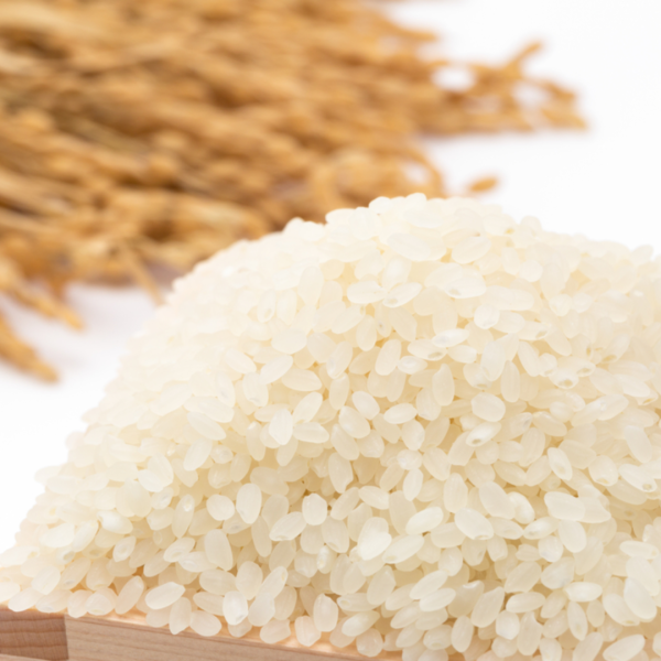 Arroz Katanafood para sushi 1kg - Imagen 2