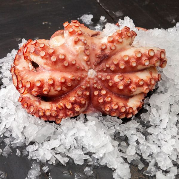 Pulpo Congelado 500gr - Imagen 3